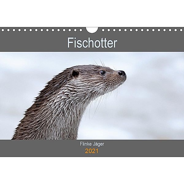 Fischotter, flinke Jäger (Wandkalender 2021 DIN A4 quer), J. R. Bogner