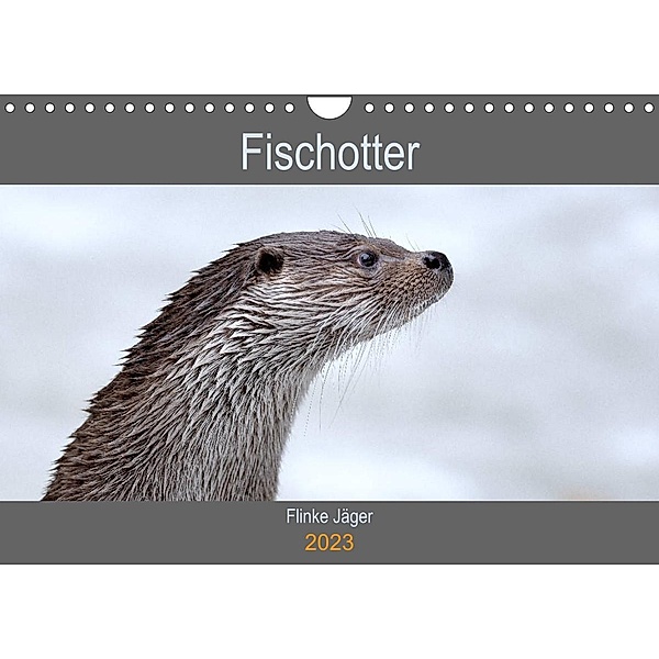 Fischotter, flinke Jäger (Wandkalender 2023 DIN A4 quer), J. R. Bogner