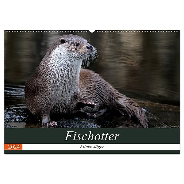 Fischotter, flinke Jäger (Wandkalender 2024 DIN A2 quer), CALVENDO Monatskalender, J. R. Bogner