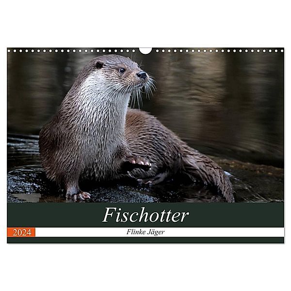 Fischotter, flinke Jäger (Wandkalender 2024 DIN A3 quer), CALVENDO Monatskalender, J. R. Bogner