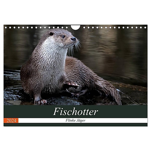 Fischotter, flinke Jäger (Wandkalender 2024 DIN A4 quer), CALVENDO Monatskalender, J. R. Bogner
