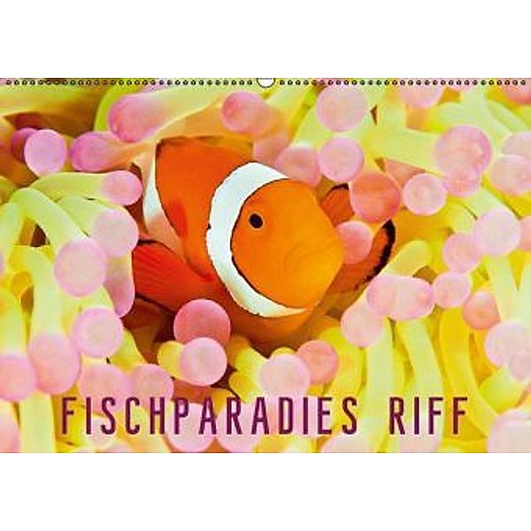 Fischparadies Riff (Wandkalender 2016 DIN A2 quer), Calvendo