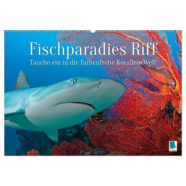 Fischparadies Riff (Wandkalender 2025 DIN A2 quer), CALVENDO Monatskalender, Calvendo