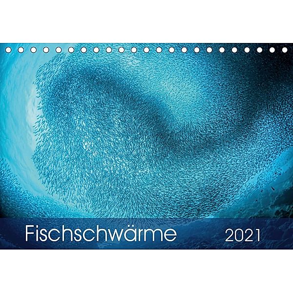 Fischschwärme (Tischkalender 2021 DIN A5 quer), Henry Jager