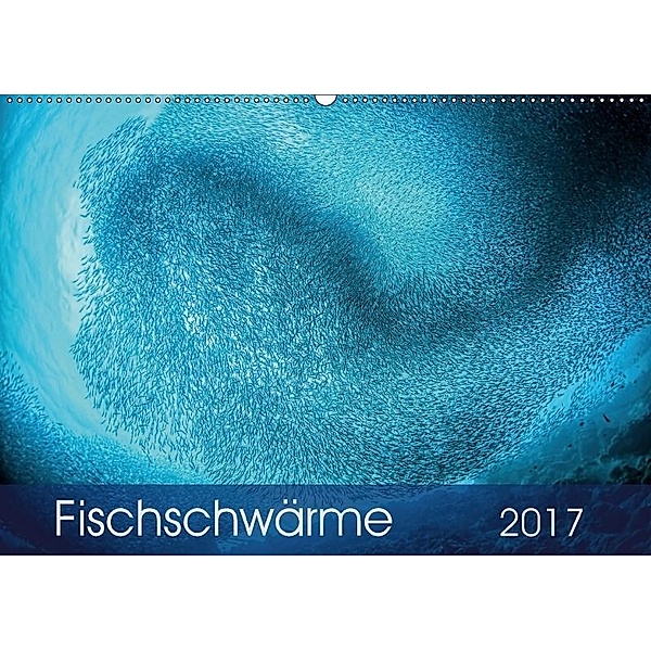Fischschwärme (Wandkalender 2017 DIN A2 quer), Henry Jager