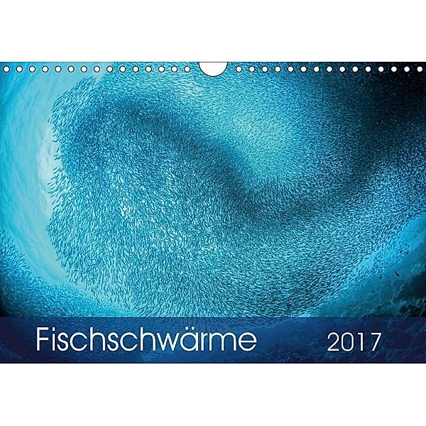 Fischschwärme (Wandkalender 2017 DIN A4 quer), Henry Jager