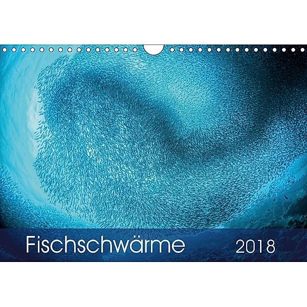 Fischschwärme (Wandkalender 2018 DIN A4 quer), Henry Jager