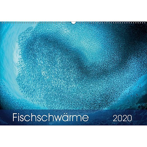 Fischschwärme (Wandkalender 2020 DIN A2 quer), Henry Jager