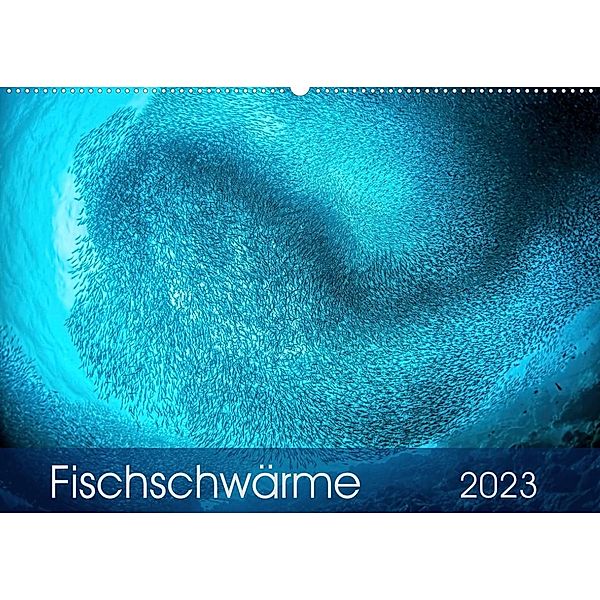 Fischschwärme (Wandkalender 2023 DIN A2 quer), Henry Jager