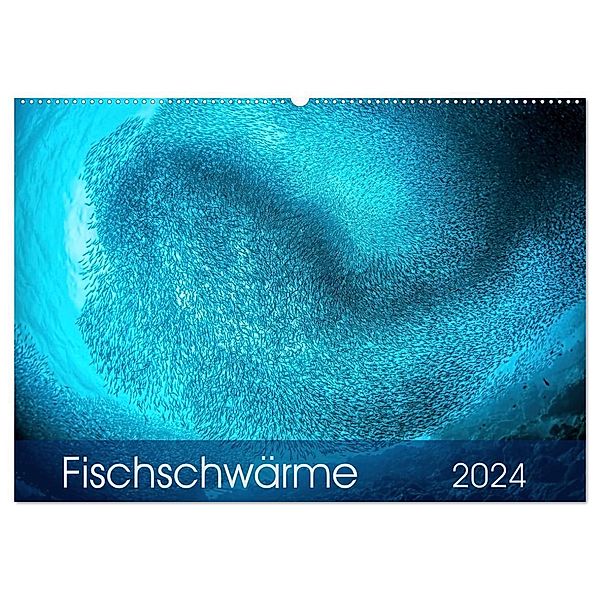 Fischschwärme (Wandkalender 2024 DIN A2 quer), CALVENDO Monatskalender, Henry Jager