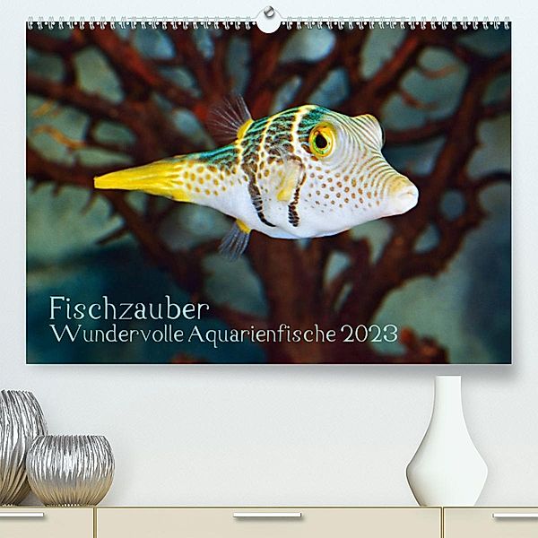 Fischzauber - Wundervolle Aquarienfische (Premium, hochwertiger DIN A2 Wandkalender 2023, Kunstdruck in Hochglanz), Rainer Plett