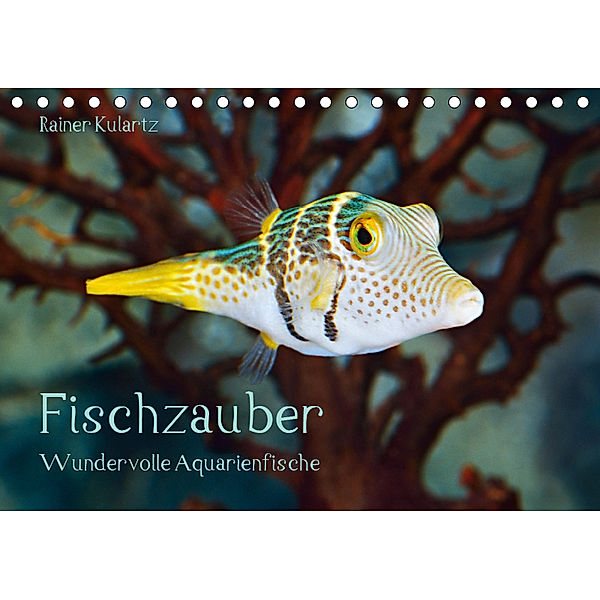 Fischzauber - Wundervolle Aquarienfische (Tischkalender 2019 DIN A5 quer), Rainer Kulartz