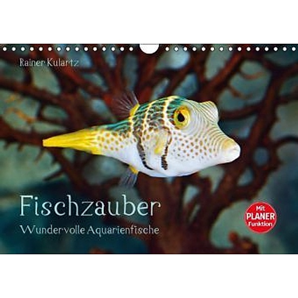 Fischzauber - Wundervolle Aquarienfische (Wandkalender 2016 DIN A4 quer), Rainer Kulartz