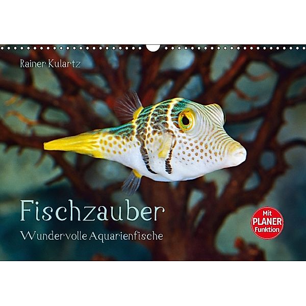 Fischzauber - Wundervolle Aquarienfische (Wandkalender 2018 DIN A3 quer), Rainer Kulartz