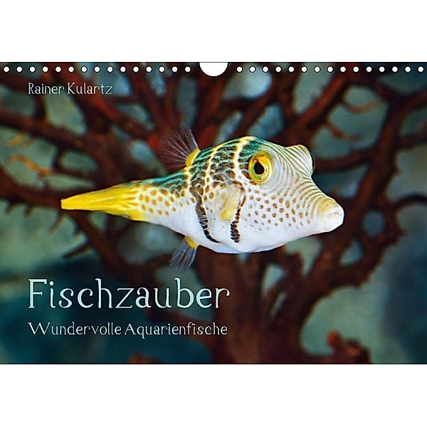 Fischzauber - Wundervolle Aquarienfische (Wandkalender 2017 DIN A4 quer), Rainer Kulartz