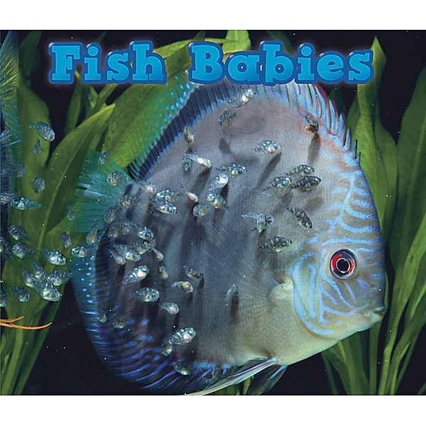 Fish Babies / Raintree Publishers, Catherine veitch