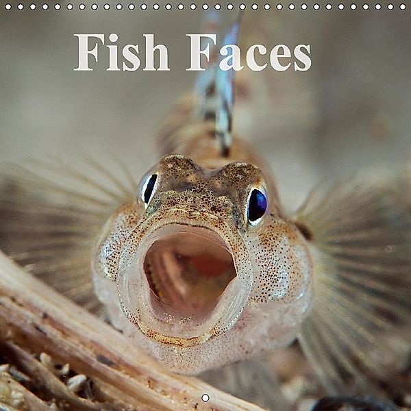 Fish Faces (Wall Calendar 2018 300 × 300 mm Square), Mark N Thomas