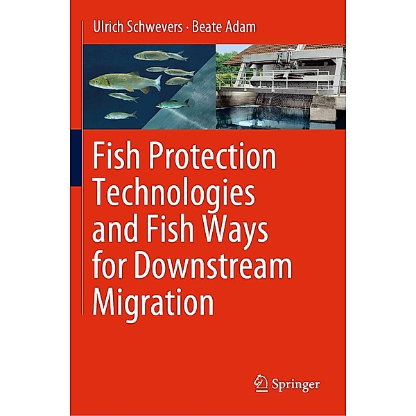 Fish Protection Technologies and Fish Ways for Downstream Migration, Ulrich Schwevers, Beate Adam