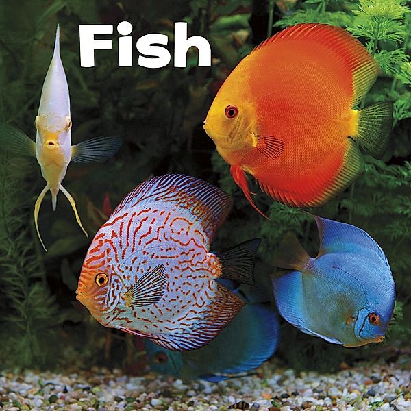 Fish / Raintree Publishers, Lisa J. Amstutz