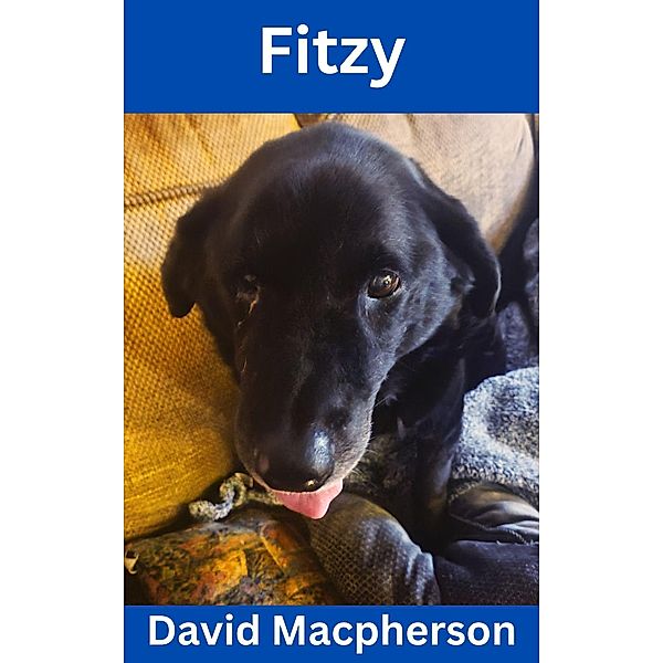 Fitzy, David Macpherson