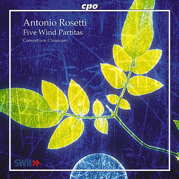 Five Wind Partitas, Diverse Interpreten