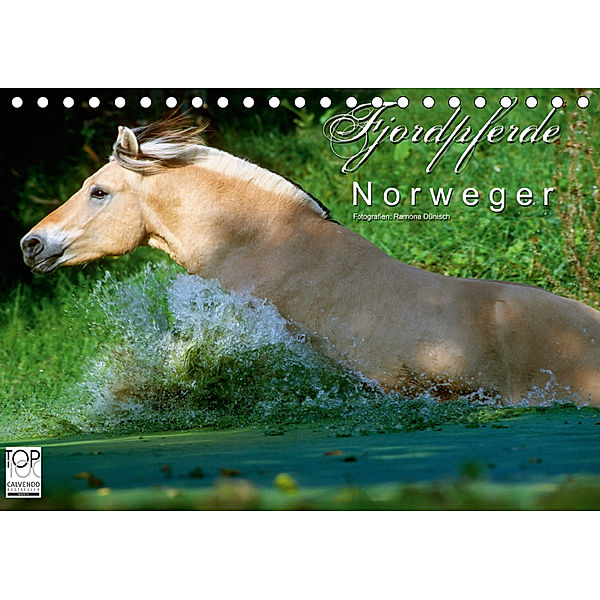 Fjordpferde - Norweger (Tischkalender 2019 DIN A5 quer), Ramona Dünisch