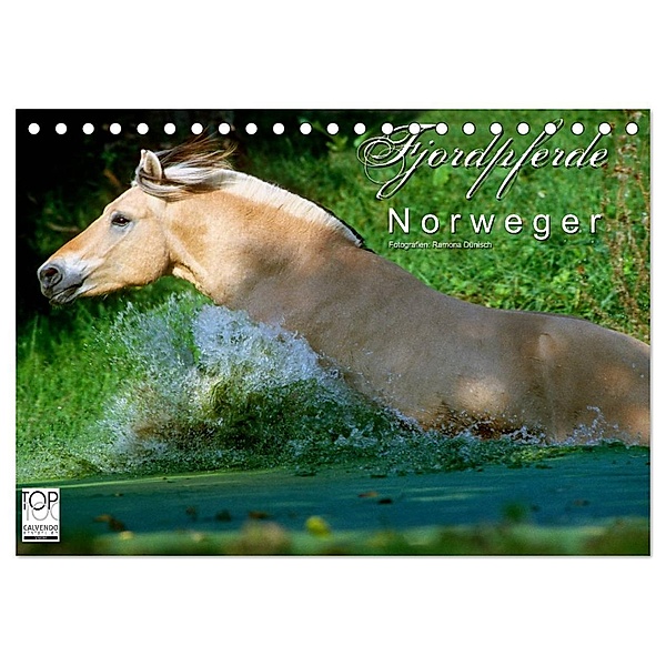 Fjordpferde - Norweger (Tischkalender 2024 DIN A5 quer), CALVENDO Monatskalender, Ramona Dünisch - www.Ramona-Duenisch.de