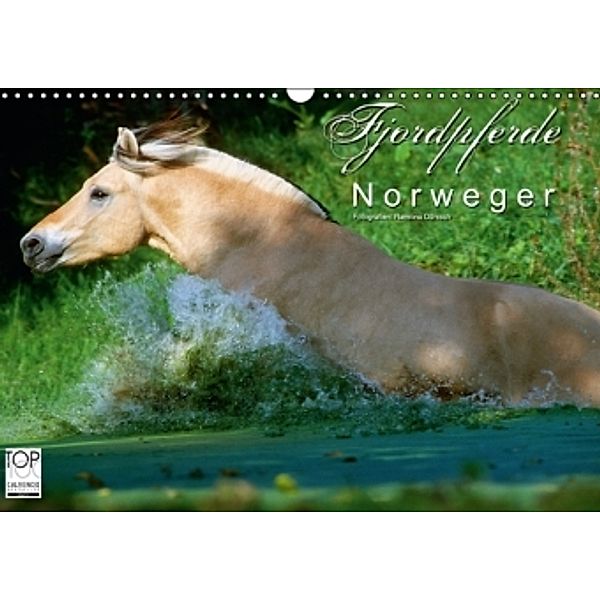 Fjordpferde - Norweger (Wandkalender 2016 DIN A3 quer), Ramona Dünisch