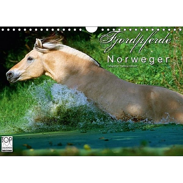 Fjordpferde - Norweger (Wandkalender 2017 DIN A4 quer), Ramona Dünisch