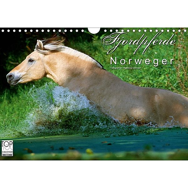 Fjordpferde - Norweger (Wandkalender 2021 DIN A4 quer), Ramona Dünisch - www.Ramona-Duenisch.de