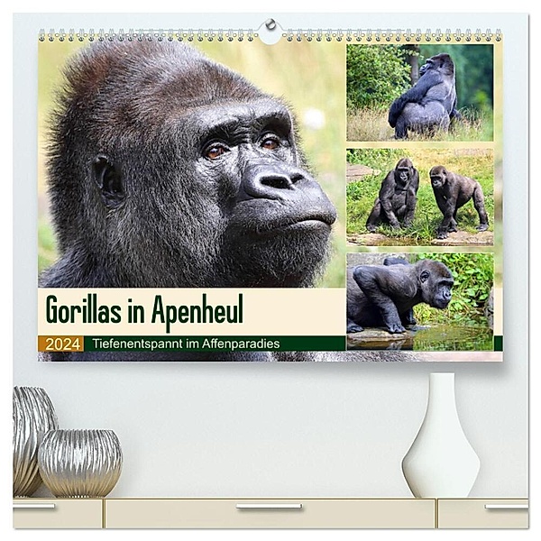 Flachlandgorillas in Apenheul (hochwertiger Premium Wandkalender 2024 DIN A2 quer), Kunstdruck in Hochglanz, Yvonne und Michael Herzog