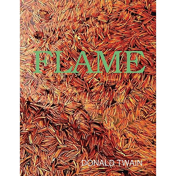 Flame, Donald Twain