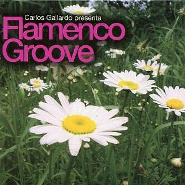 Flamenco Groove, Carlos Gallardo