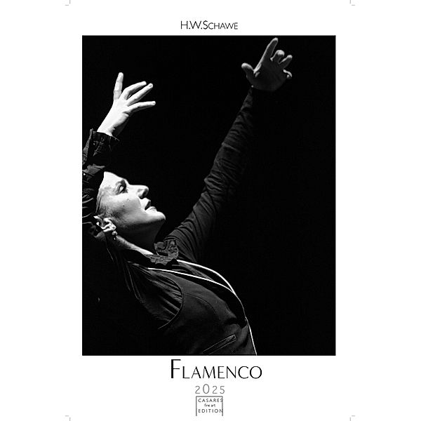 Flamenco schwarz-weiss 2025, H. W. Schawe