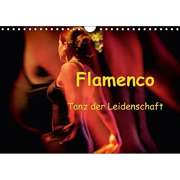 Flamenco - Tanz der Leidenschaft (Wandkalender 2017 DIN A4 quer), Brigitte Dürr / Gabi Hampe