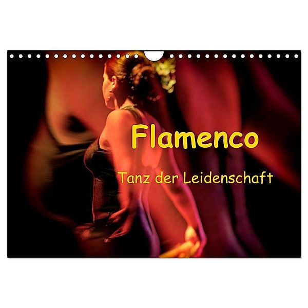 Flamenco - Tanz der Leidenschaft (Wandkalender 2024 DIN A4 quer), CALVENDO Monatskalender, Brigitte Dürr / Gabi Hampe