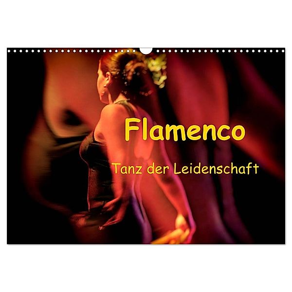 Flamenco - Tanz der Leidenschaft (Wandkalender 2025 DIN A3 quer), CALVENDO Monatskalender, Calvendo, Brigitte Dürr / Gabi Hampe