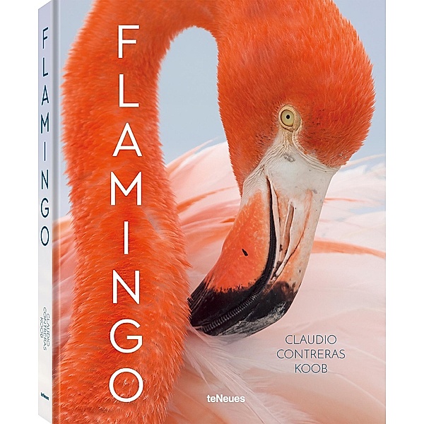 Flamingo, Claudio Contreras Koob