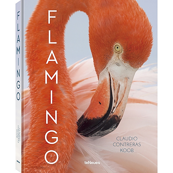 Flamingo, Claudio Contreras Koob