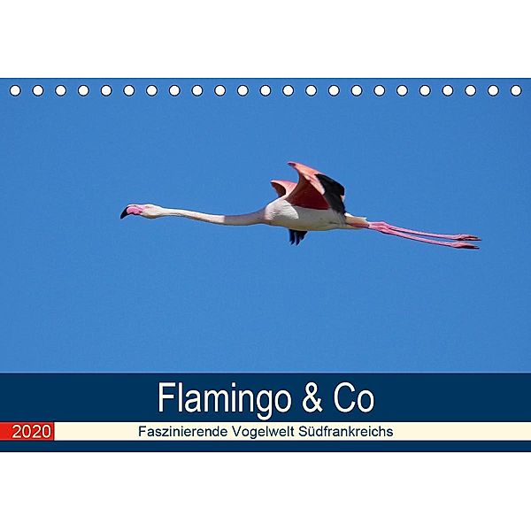Flamingo & Co - Faszinierende Vogelwelt Südfrankreichs (Tischkalender 2020 DIN A5 quer), René Schaack