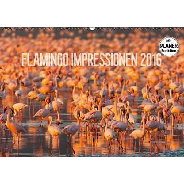 Flamingo Impressionen 2016 (Wandkalender 2016 DIN A2 quer), Ingo Gerlach