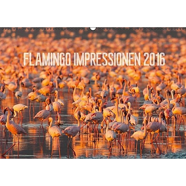 Flamingo Impressionen 2016 (Wandkalender 2016 DIN A2 quer), Ingo Gerlach