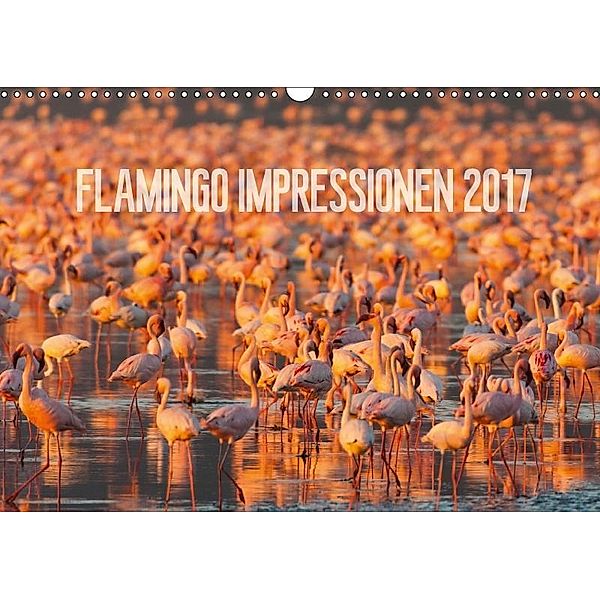 Flamingo Impressionen 2017 (Wandkalender 2017 DIN A3 quer), Ingo Gerlach