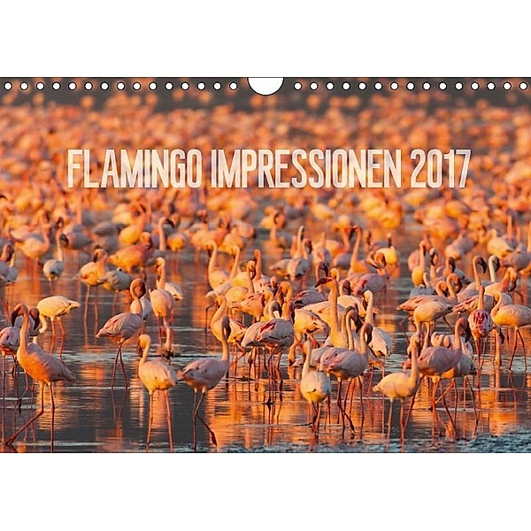 Flamingo Impressionen 2017 (Wandkalender 2017 DIN A4 quer), Ingo Gerlach