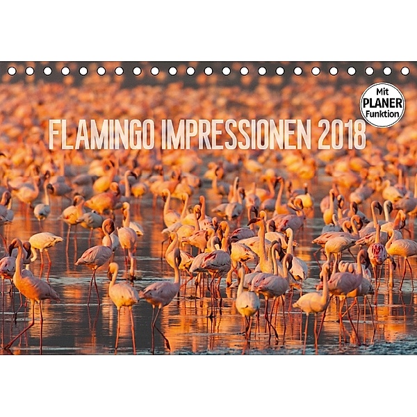 Flamingo Impressionen 2018 (Tischkalender 2018 DIN A5 quer) Dieser erfolgreiche Kalender wurde dieses Jahr mit gleichen, Ingo Gerlach