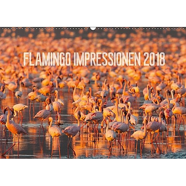 Flamingo Impressionen 2018 (Wandkalender 2018 DIN A2 quer), Ingo Gerlach