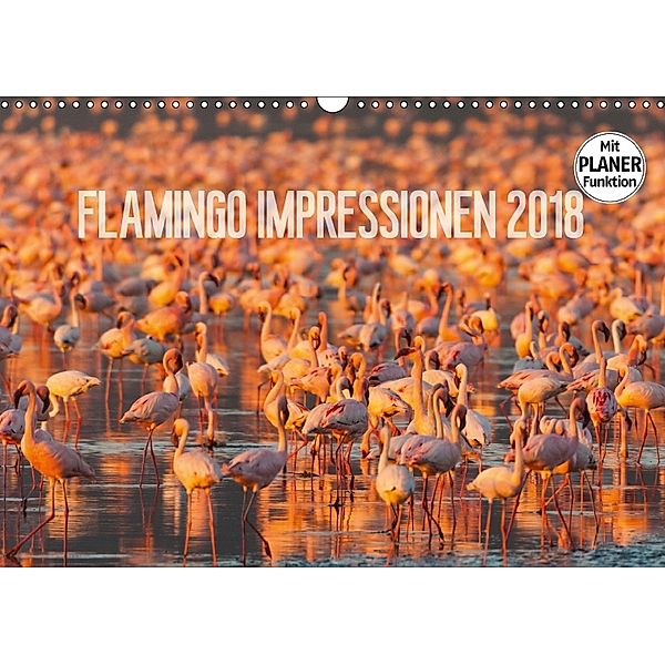 Flamingo Impressionen 2018 (Wandkalender 2018 DIN A3 quer) Dieser erfolgreiche Kalender wurde dieses Jahr mit gleichen B, Ingo Gerlach