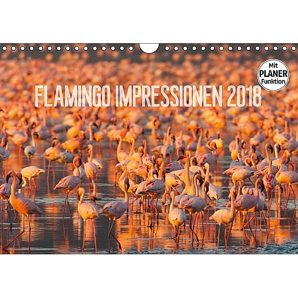 Flamingo Impressionen 2018 (Wandkalender 2018 DIN A4 quer) Dieser erfolgreiche Kalender wurde dieses Jahr mit gleichen B, Ingo Gerlach