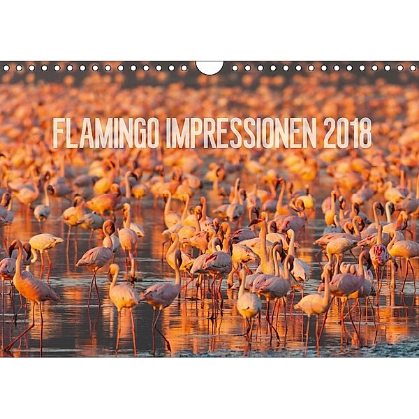 Flamingo Impressionen 2018 (Wandkalender 2018 DIN A4 quer), Ingo Gerlach