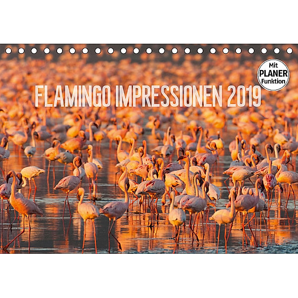 Flamingo Impressionen 2019 (Tischkalender 2019 DIN A5 quer), Ingo Gerlach